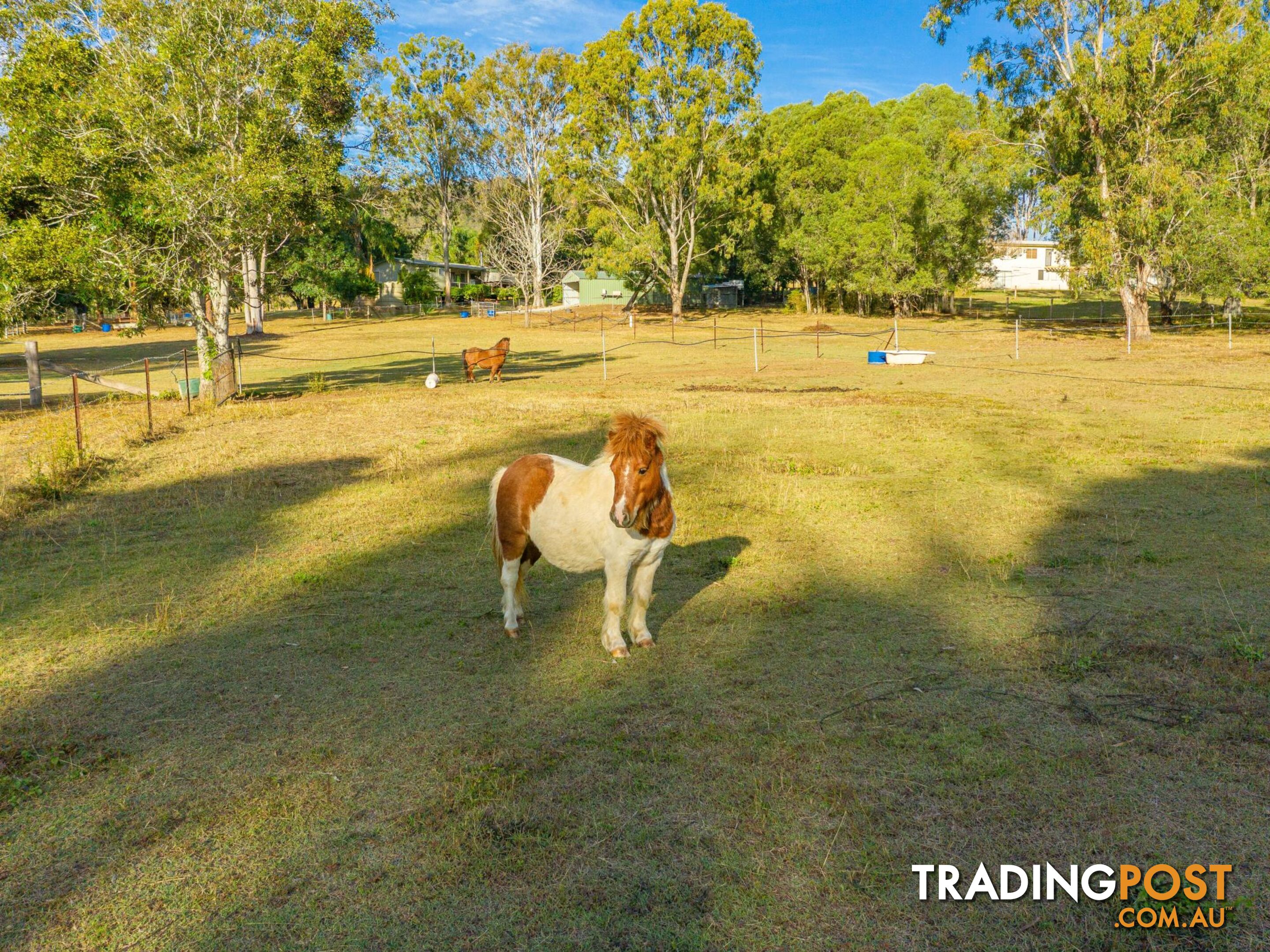 64 Hawkins Road WIDGEE QLD 4570