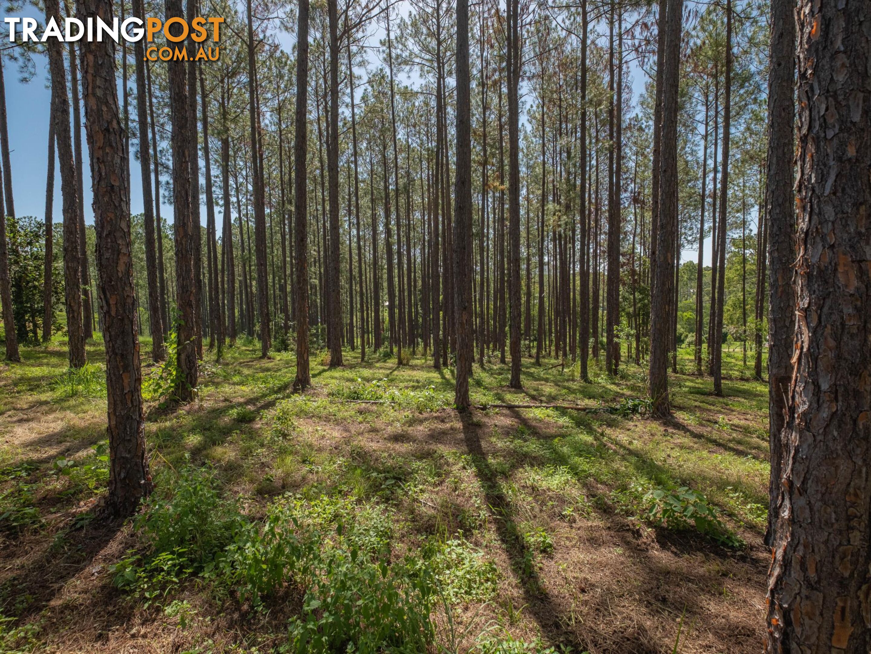 Lot 140 Andrew Road GLENWOOD QLD 4570