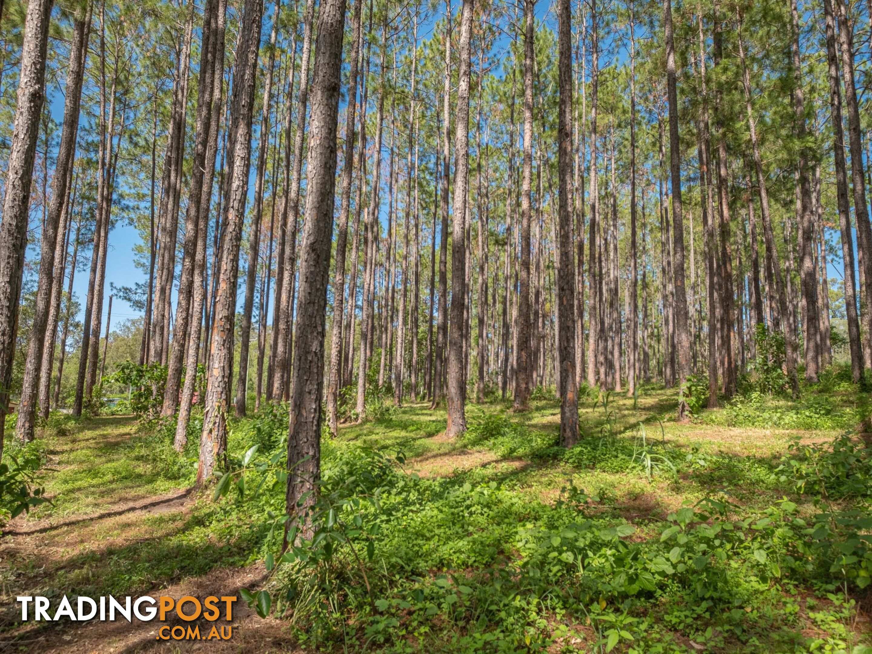 Lot 140 Andrew Road GLENWOOD QLD 4570