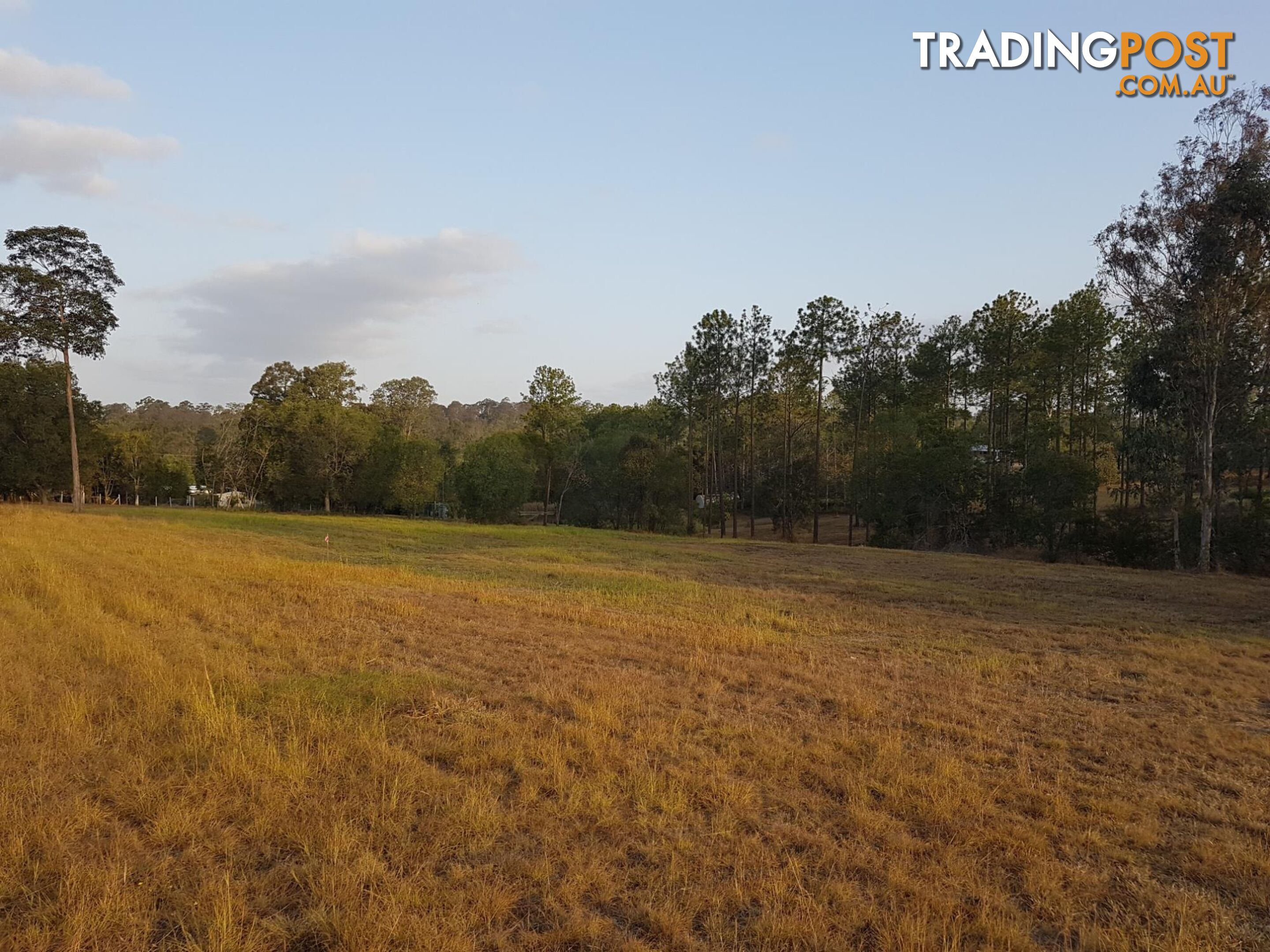 Lot 220 Stevenson Road GLENWOOD QLD 4570