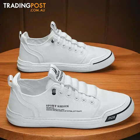Afterpay Zippay WHITE / 40Casual Shoes Canvas Shoes for Men Walking Shoes Outdoor Sneakers Male Breathable Footwear