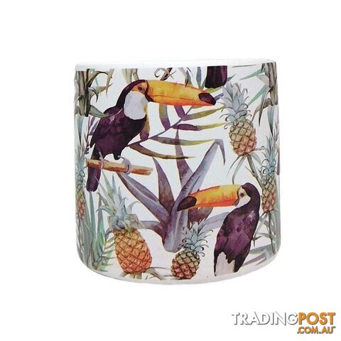 Bird Range Toucan Pot Medium - 800360
