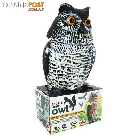 Outdoor Owl Bobble Head - 9328644050993