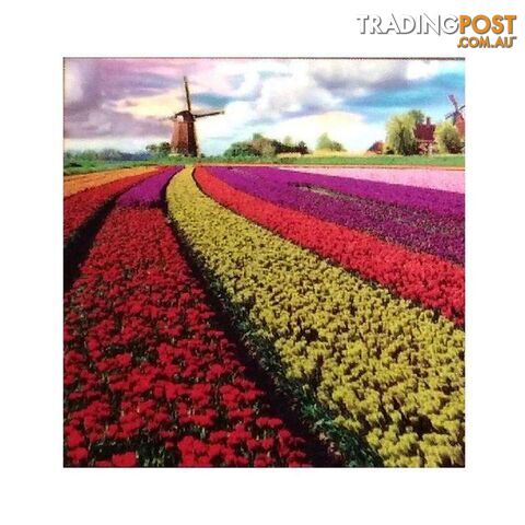 5D Diamond Art Kit Tulip Fields 30 x 30 cm - 800632