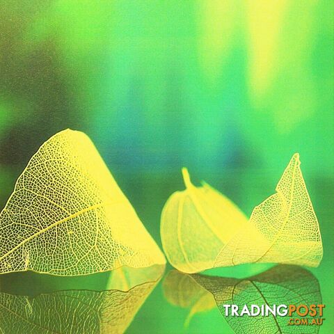Home Decor Canvas Prints - 40 x 40 cm 2 White Leaves - 800137