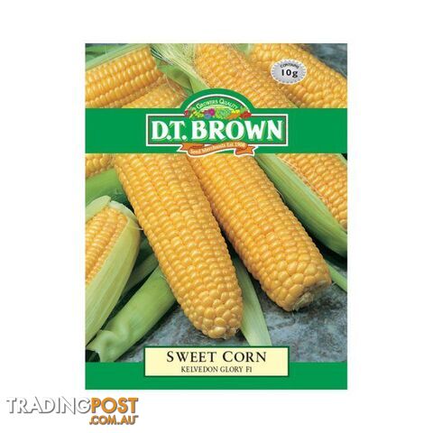 Sweet Corn Kelvedon Glory Seeds - 5030075029946
