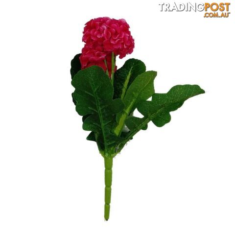 Celosia Flower 5 Head 28cm - 800773