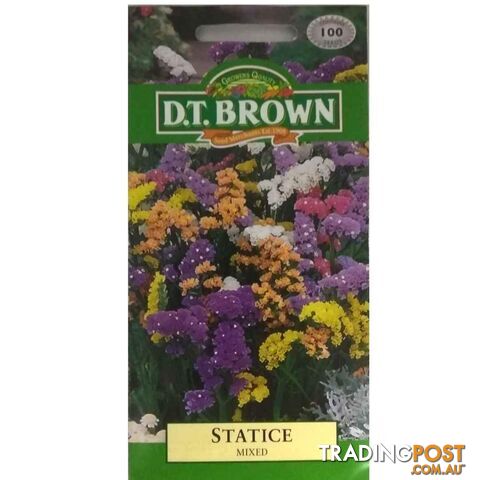 Statice Mixed Seeds - 5030075004929