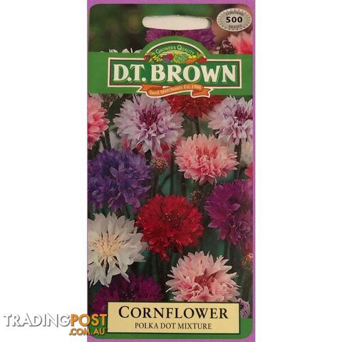 Cornflower Polka Dot Seeds - 5030075005087