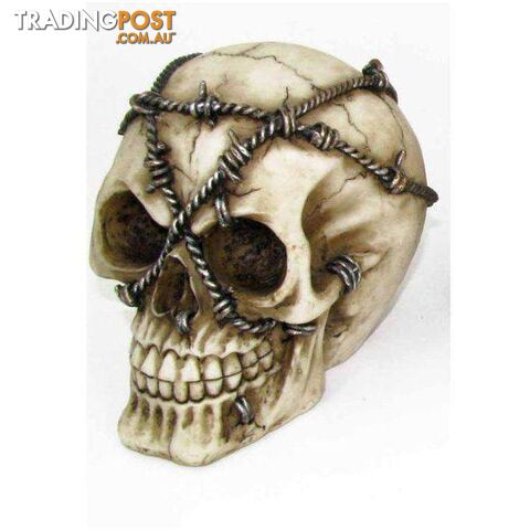 Skull Head 3 12cm - Barbed Wire - 800253