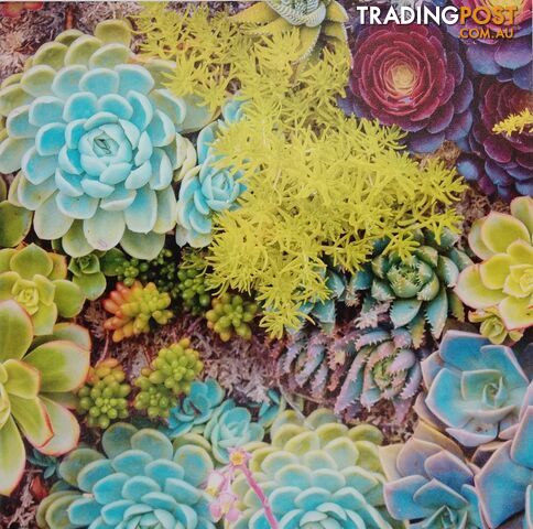 Home Decor Canvas Prints - 40 x 40 cm Succulent Leaves - 800140