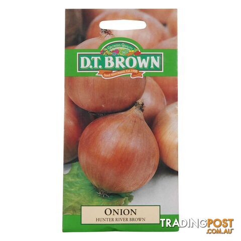 Brown Onion Hunter River Seeds - 5030075022558