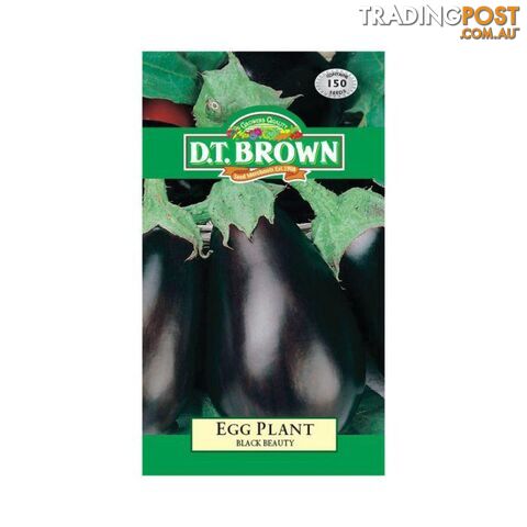 Egg Plant Black Beauty Seeds - 5030075022206