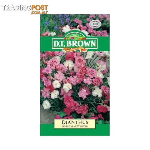 Dianthus Spring Beauty Seeds - 5030075001553