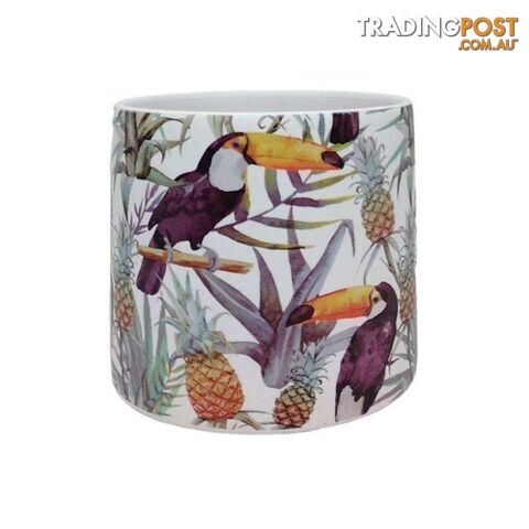 Bird Range Toucan Pot Small - 800370