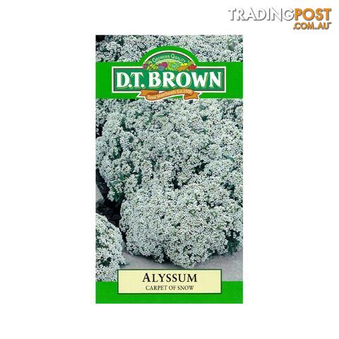 Alyssum Carpet Of Snow Seeds - 5030075000136