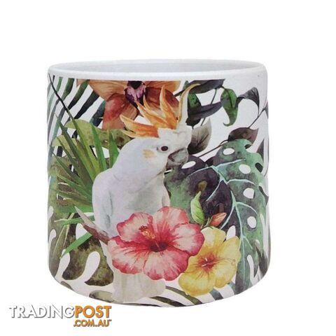 Bird Range Cockatoo Pot Small - 800372