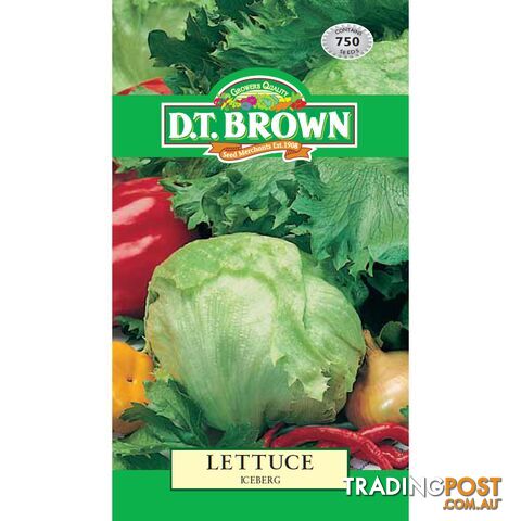 Lettuce Iceburg Seeds - 5030075022718