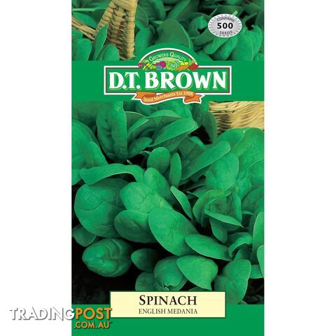 Spinach English Medania Seeds - 5030075021667