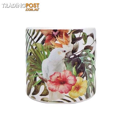 Bird Range Cockatoo Pot Medium - 800358