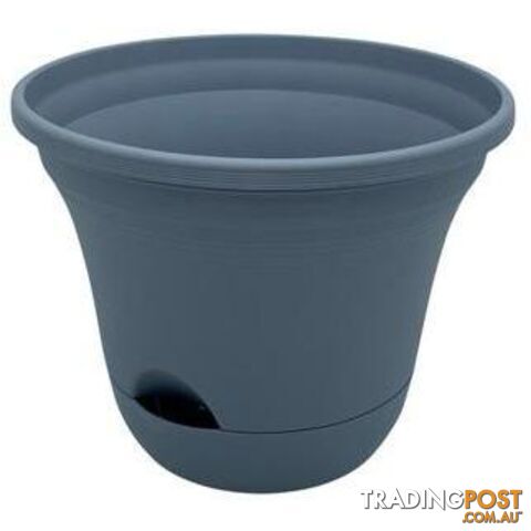 Self Watering Pot 20Dx16cm - 9333527597120