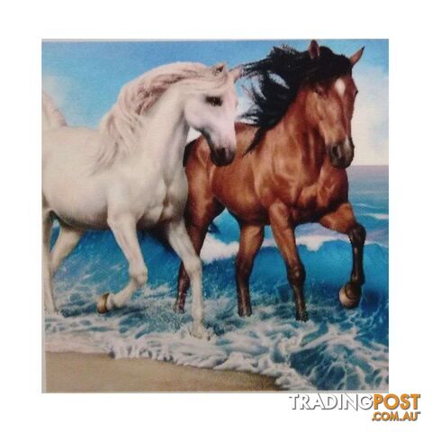 Diamond Art 30x40cm Horses - 9313559572524