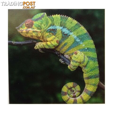 Diamond Art 30x40cm Chameleon - 9313559572555