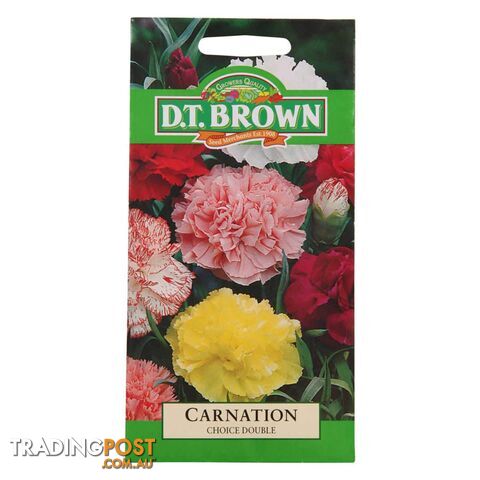 Carnation Choice Double Seeds - 5030075025689