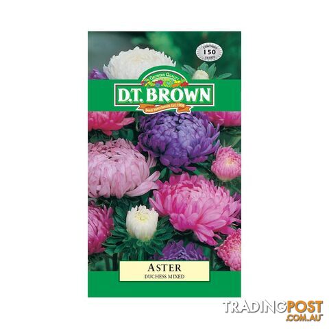 Aster Duchess Mixed Seeds - 5030075000402