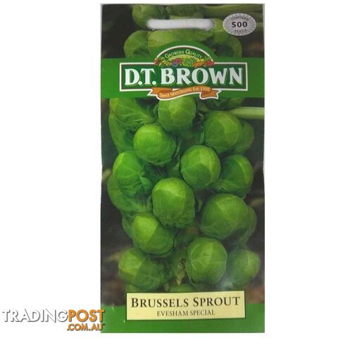 Brussels Sprout Evesham Seeds - 5030075020219