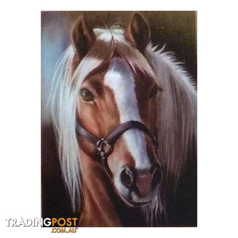 5D Diamond Art Horse Dreams 25x35cm - 800639