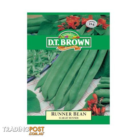 Runner Bean Scarlet Runner Seeds - 5030075022145