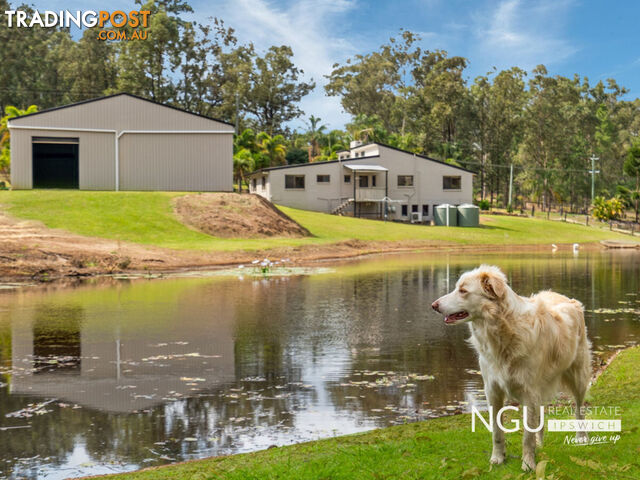 36-38 Velvet Street Pine Mountain QLD 4306