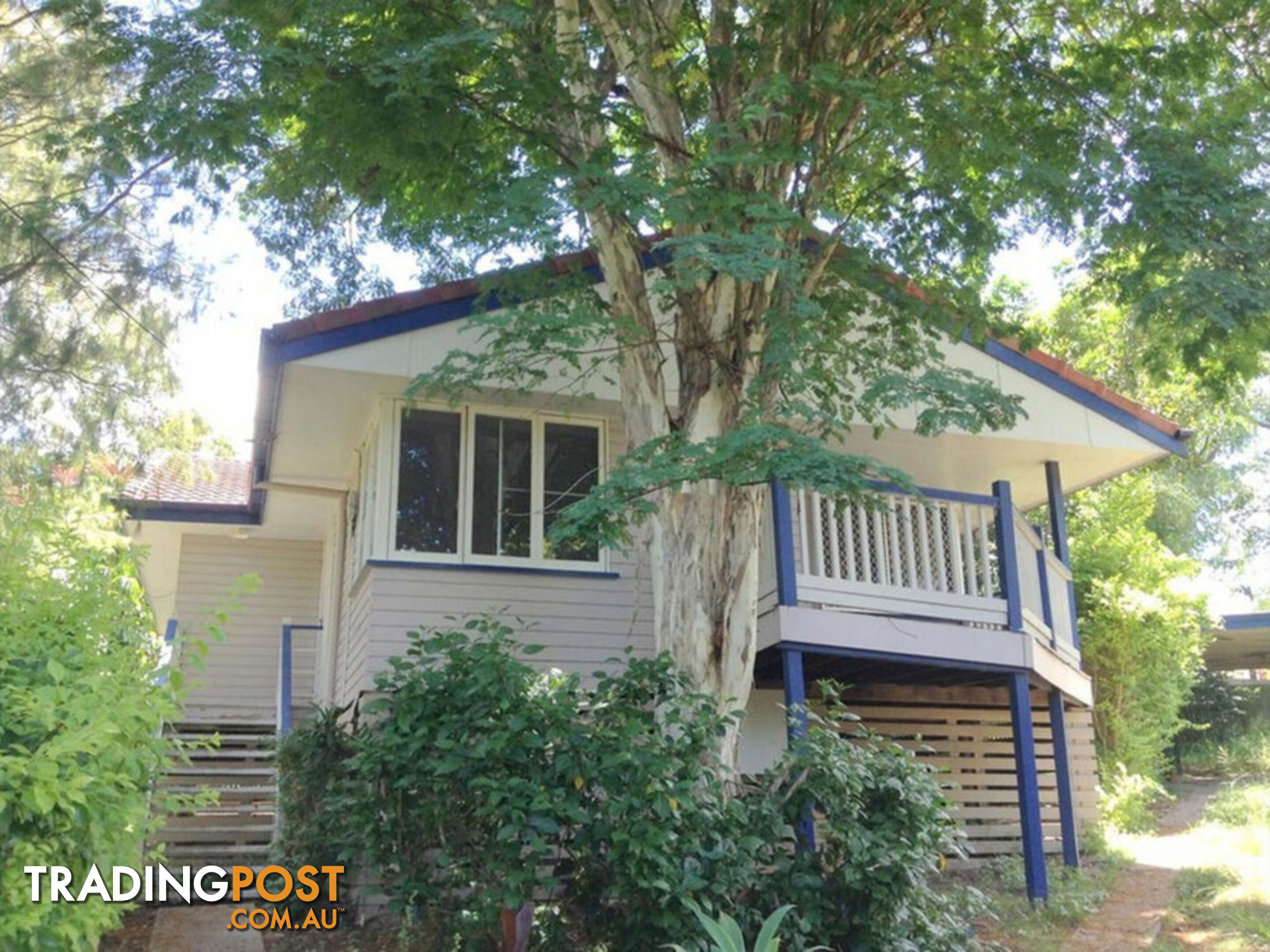 12 Odette Street Leichhardt QLD 4305