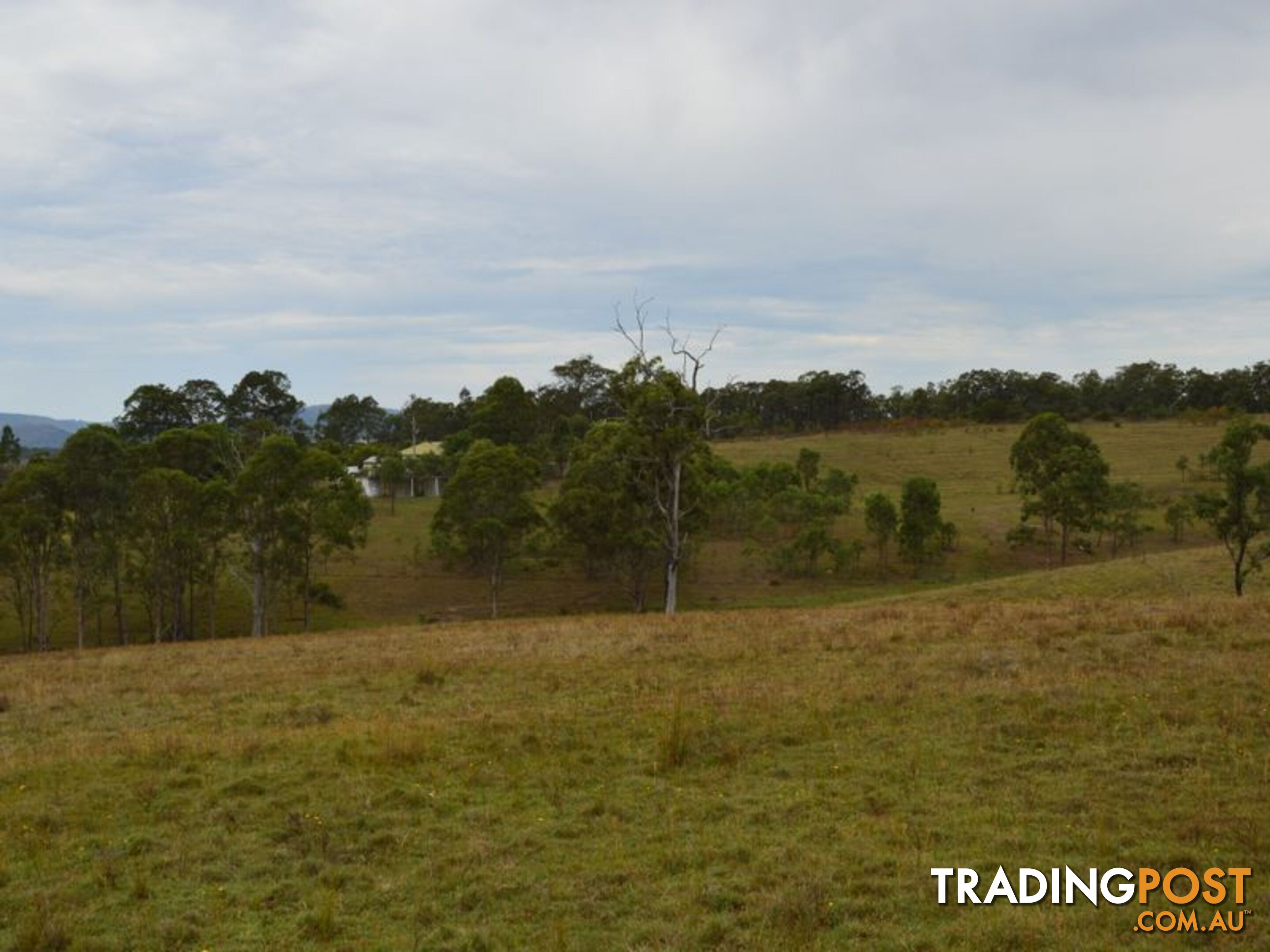 Lot 106 Dalwood Acres BRANXTON NSW 2335