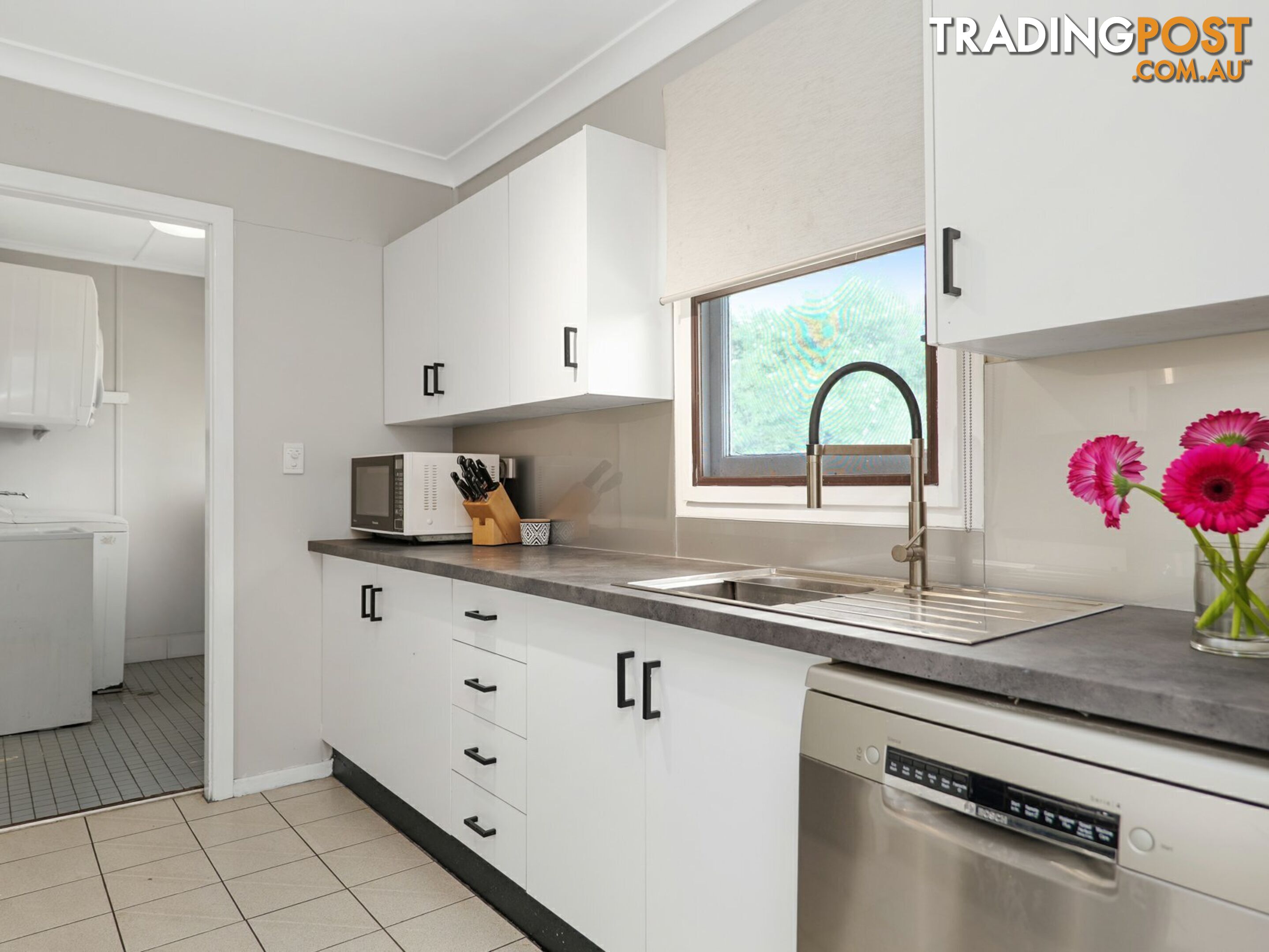 15 Patrick Street SINGLETON NSW 2330