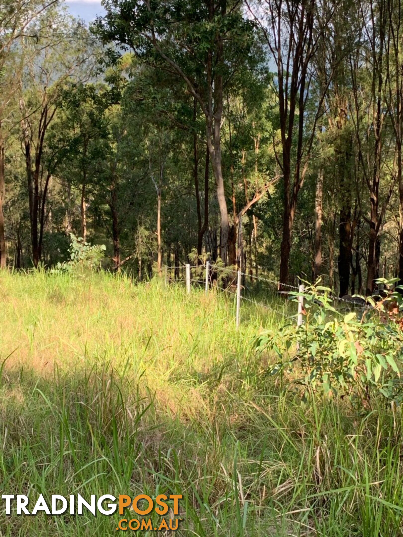 SANDY CREEK QLD 4515