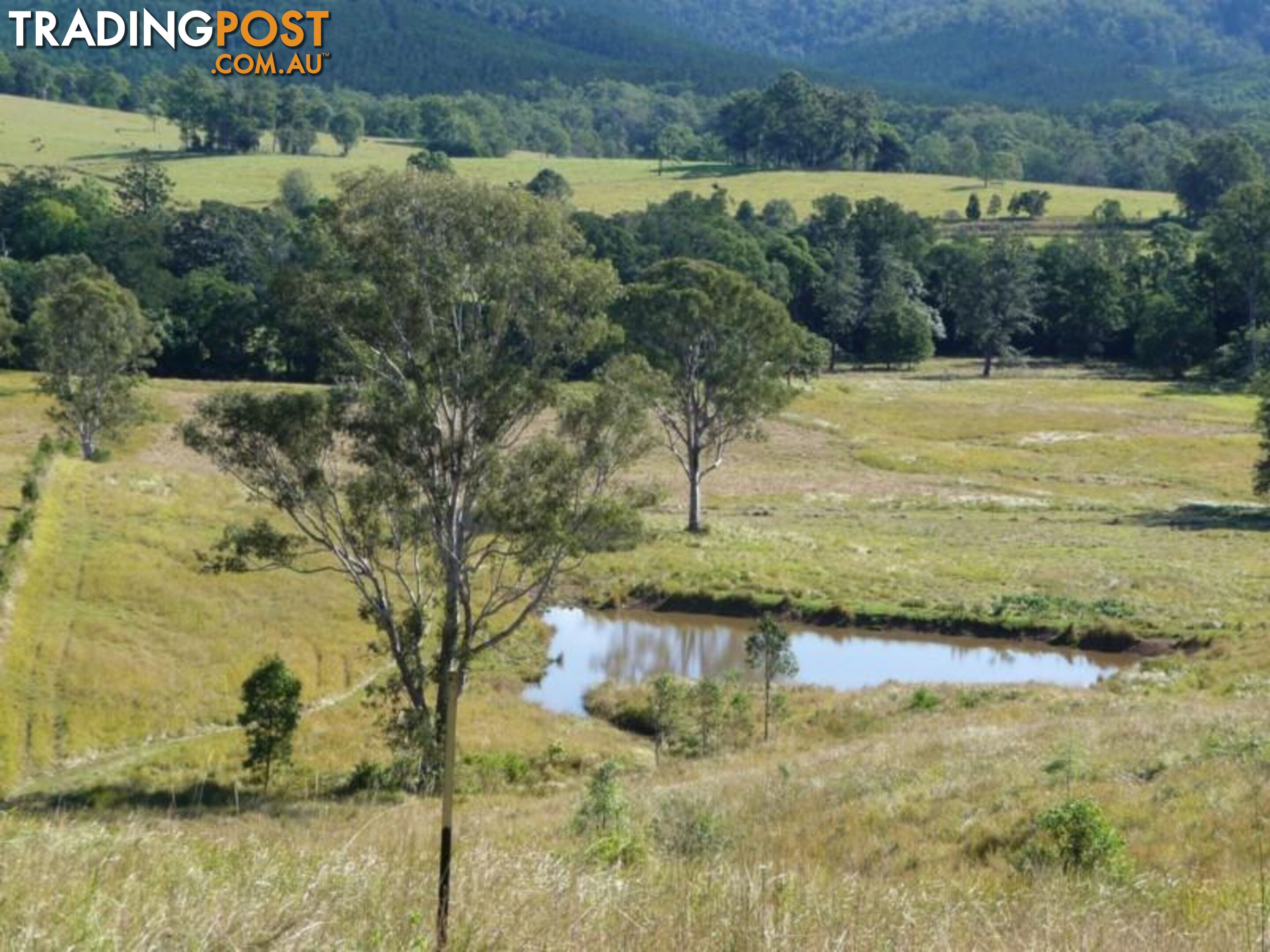 Lot 1 Yingani Road BROOLOO QLD 4570