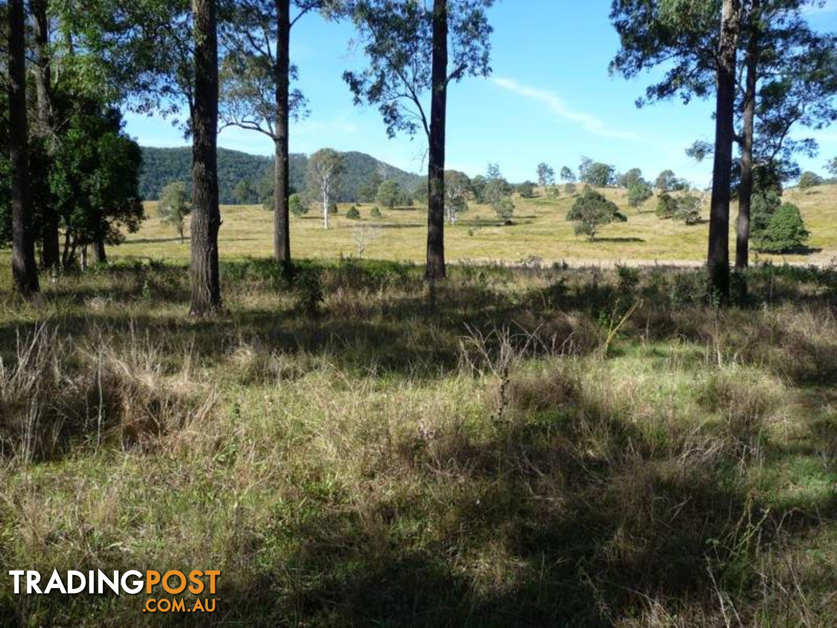 Lot 1 Yingani Road BROOLOO QLD 4570