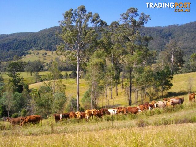 4396 Mary Valley Road BROOLOO QLD 4570