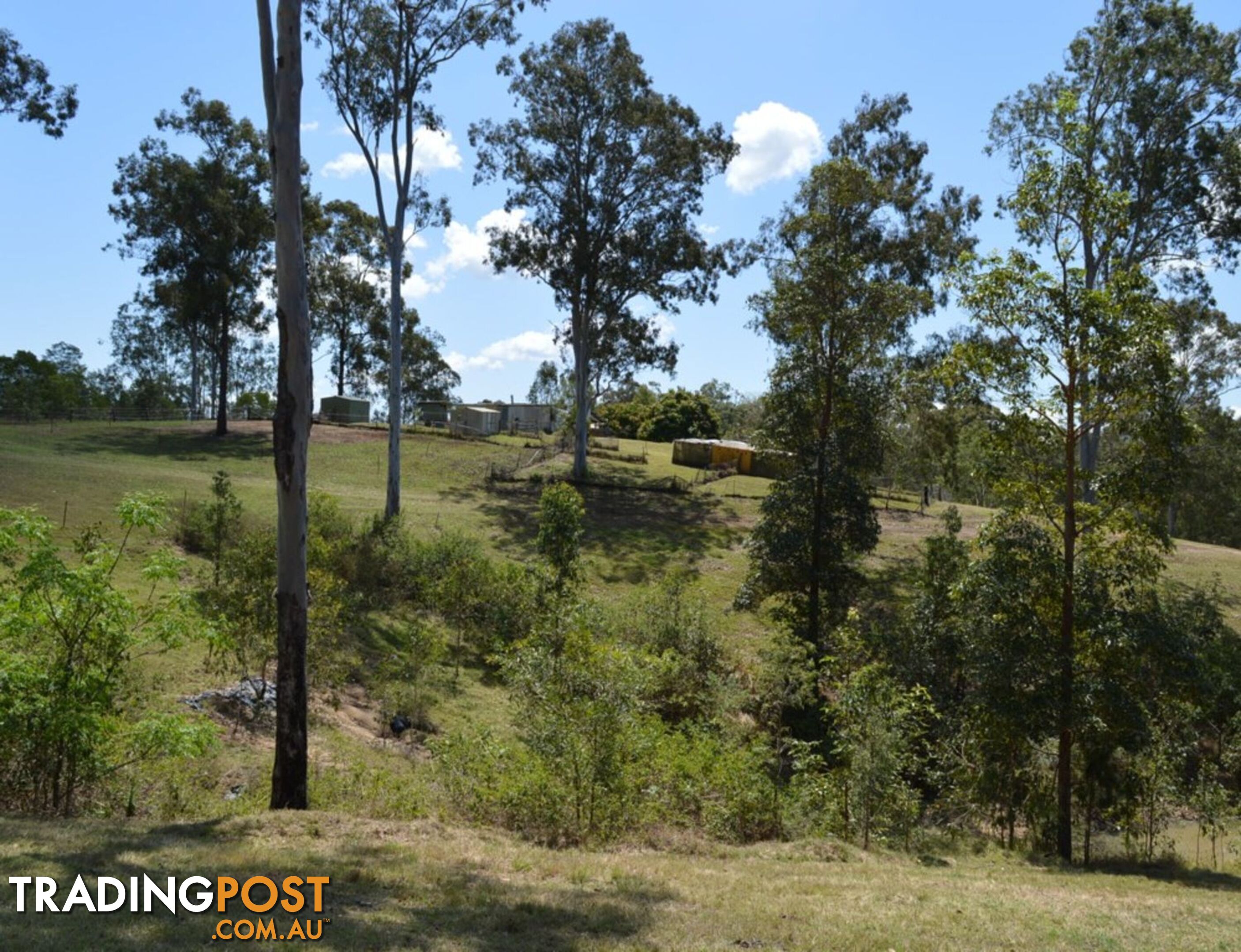 127 Appalossa Drive CONONDALE QLD 4552