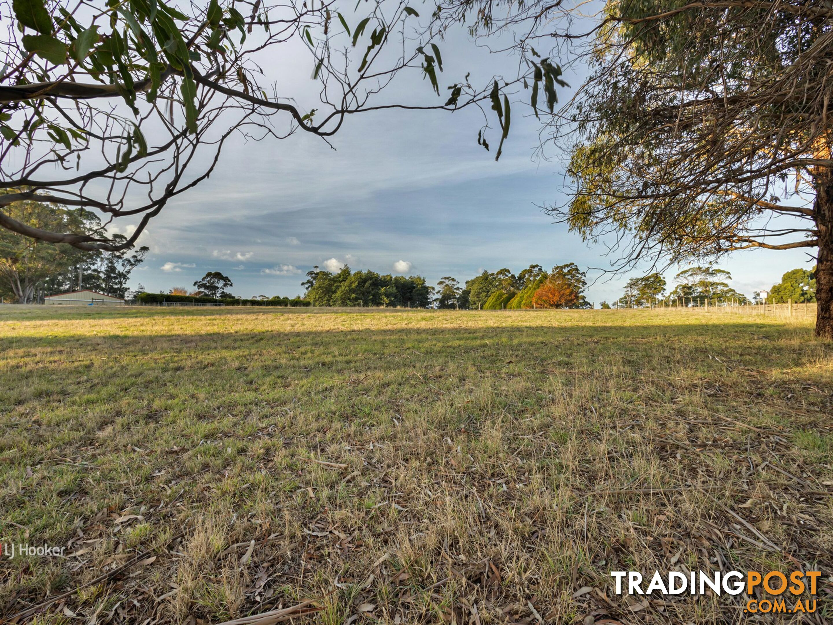 Lot 1/53 Aldersons Road WYNYARD TAS 7325