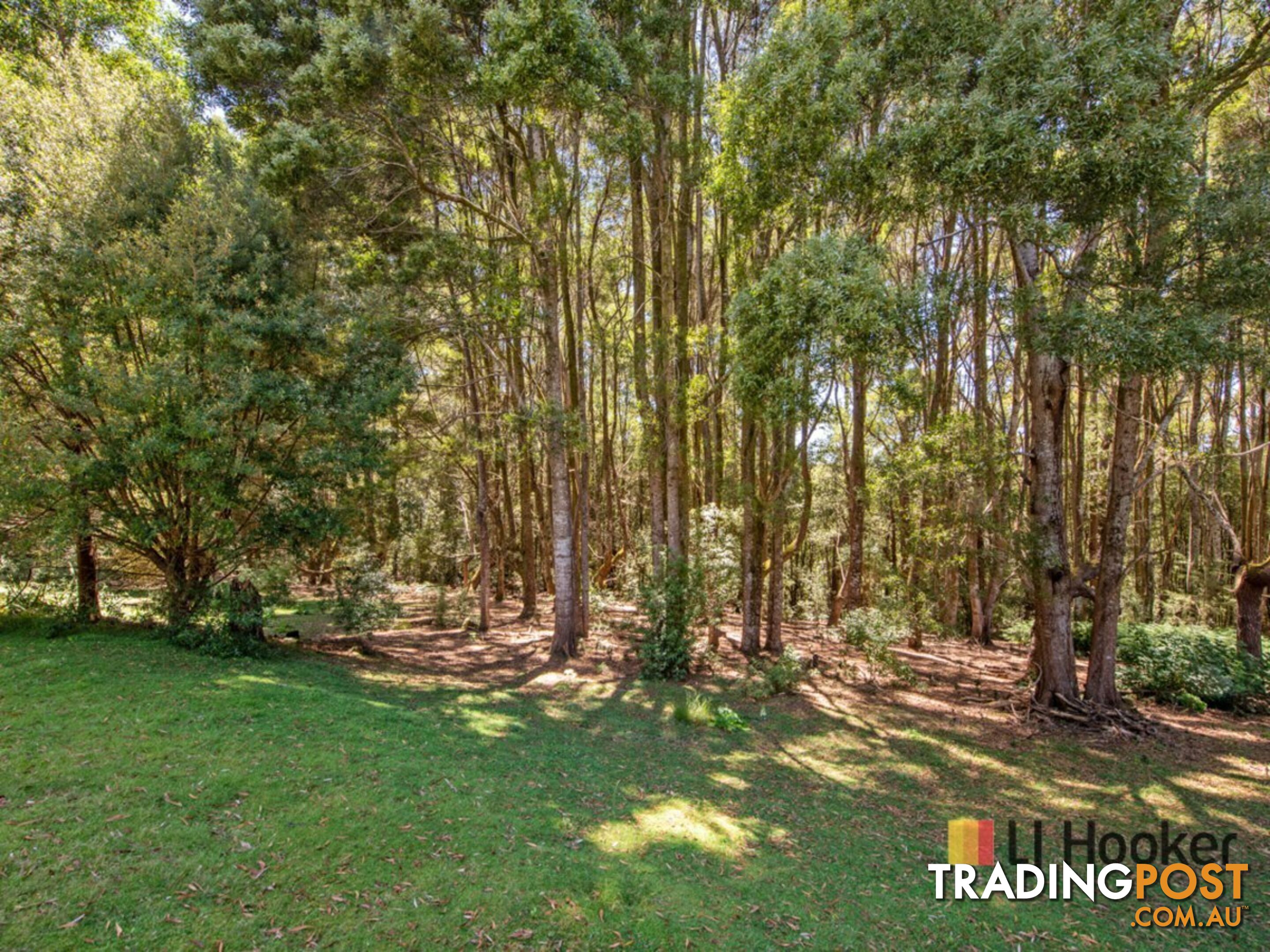 1131 Preolenna Road MOORLEAH TAS 7325