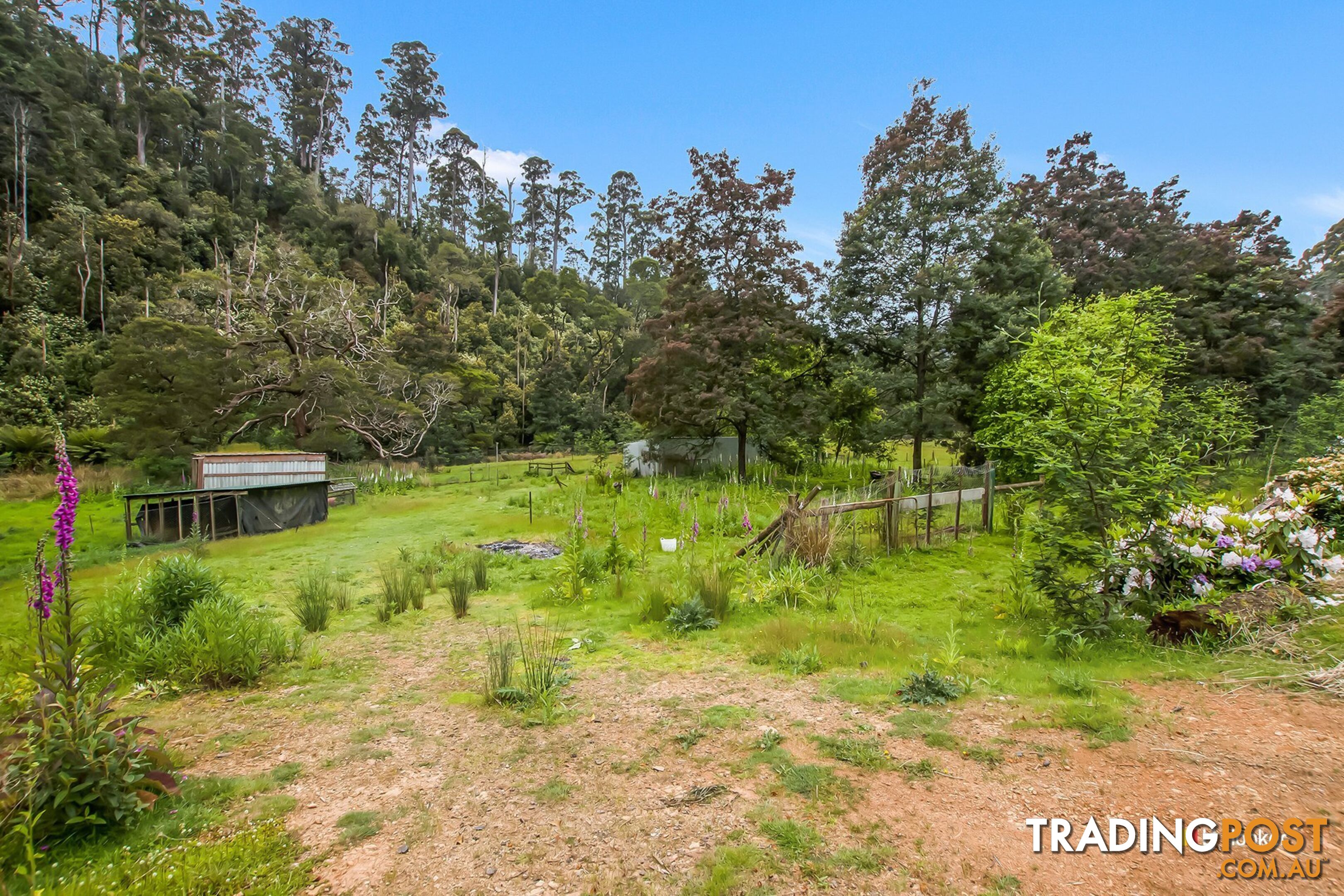 149 Bassetts Road CALDER TAS 7325