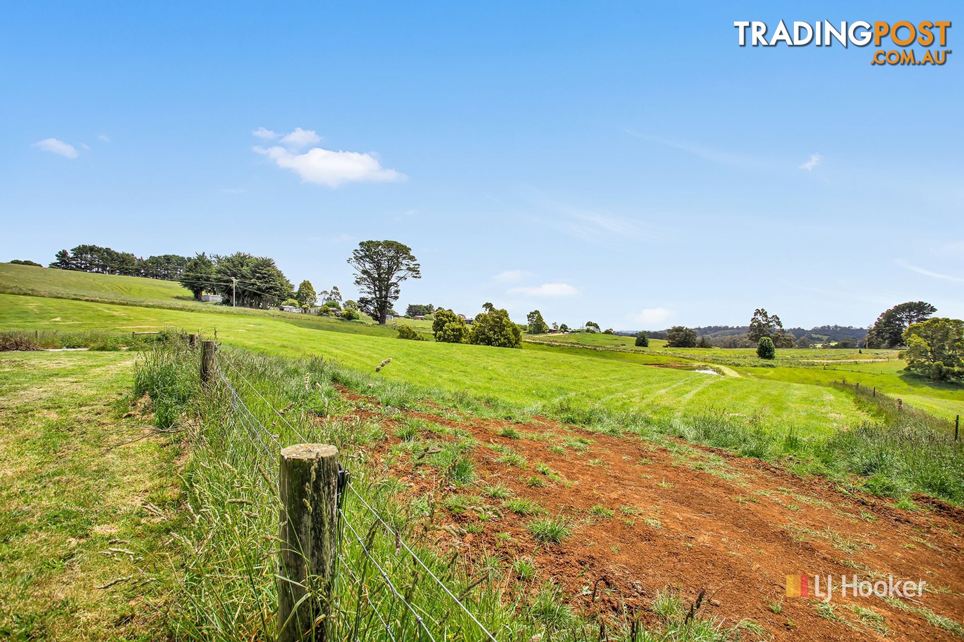 1129 Mount Hicks Road MOUNT HICKS TAS 7325