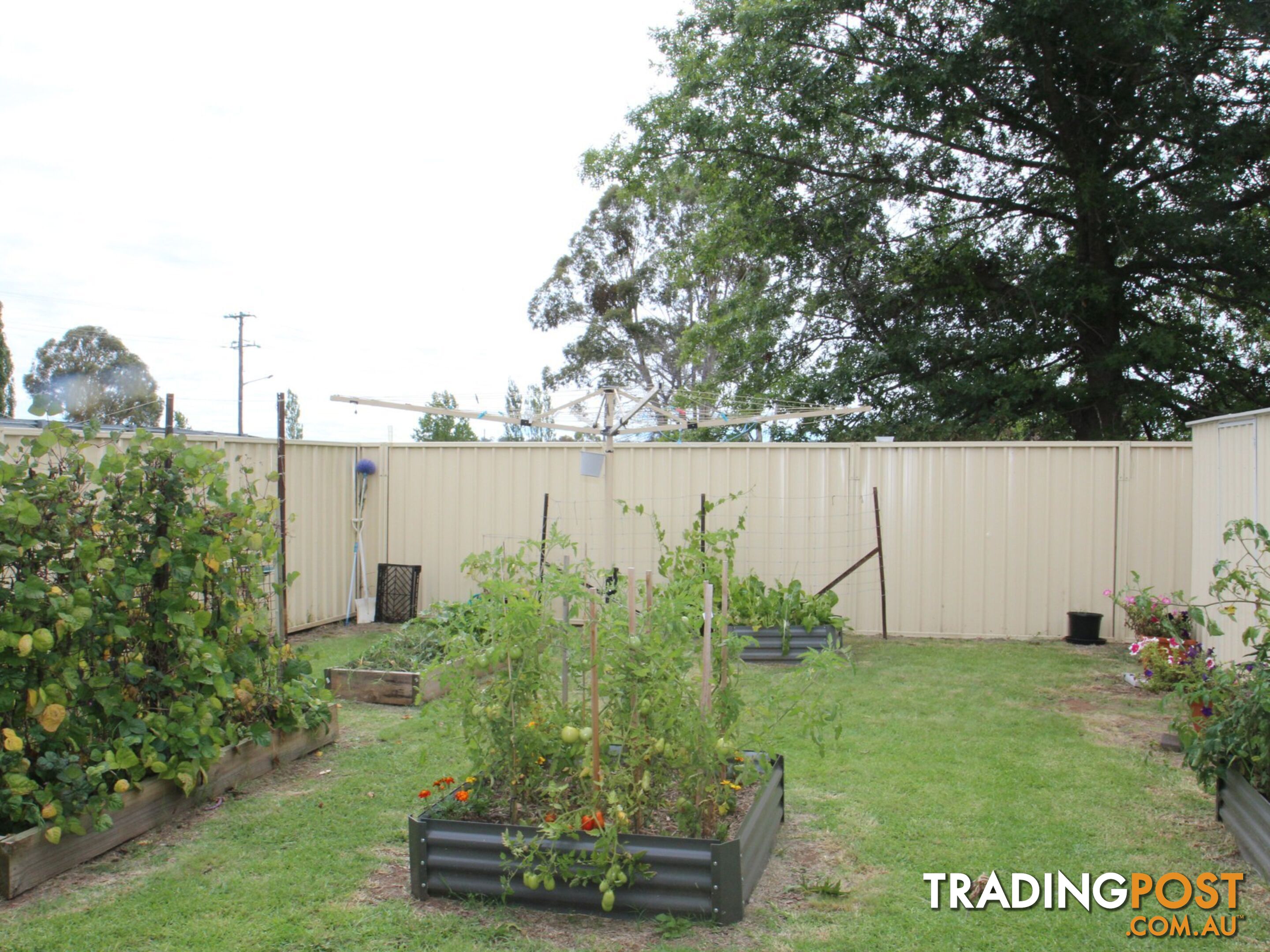 2/73 Abbott Street GLEN INNES NSW 2370