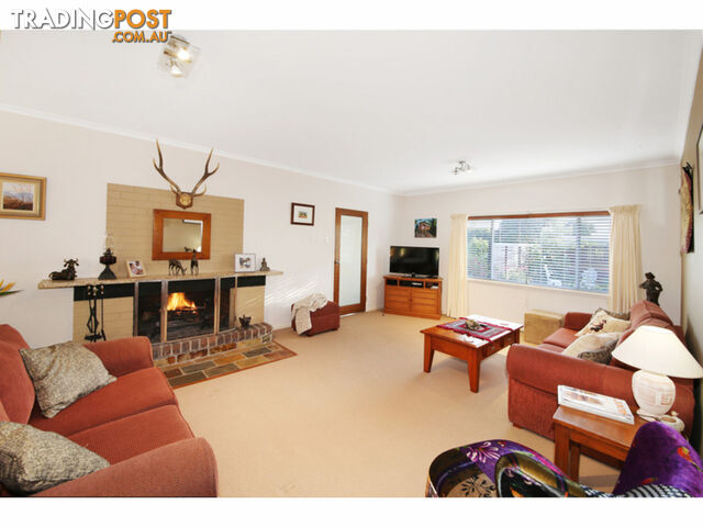 135 - 137 Western Avenue Montville QLD 4560