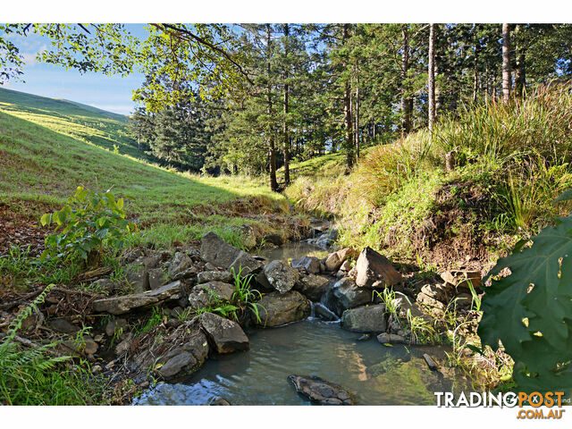 'Buena Vista' Bald Knob Road Bald Knob QLD 4552