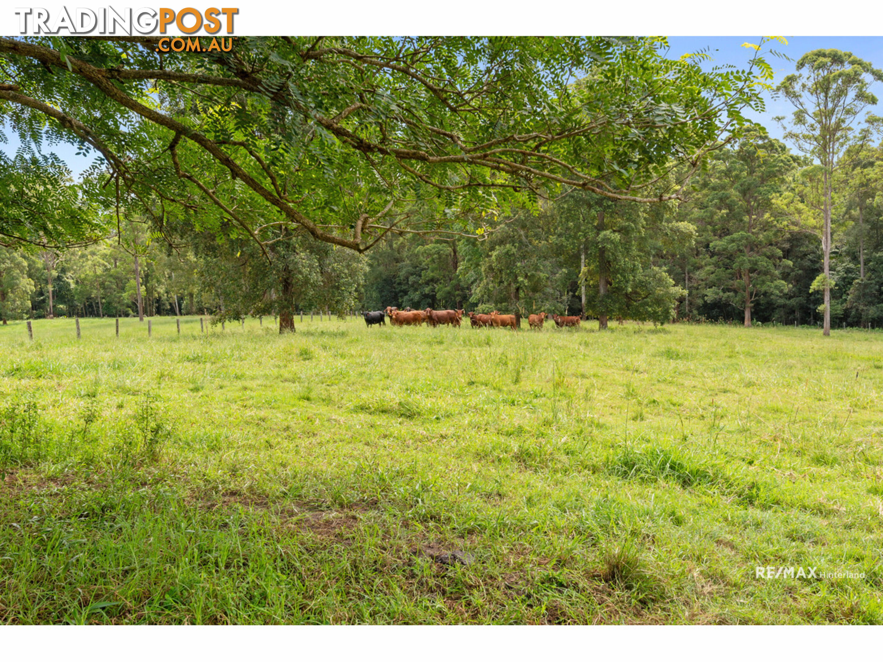 265 Storrs Road Peachester QLD 4519