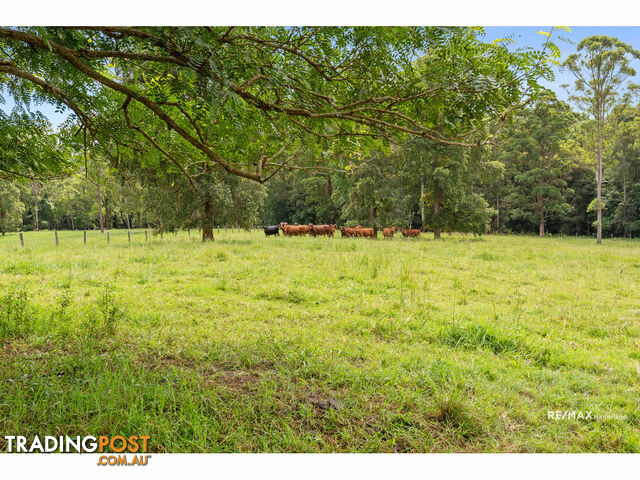 265 Storrs Road Peachester QLD 4519